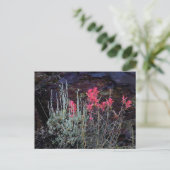 Wildblumen Postkarte (Stehend Vorderseite)