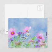 Wildblumen Postkarte (Vorne/Hinten)