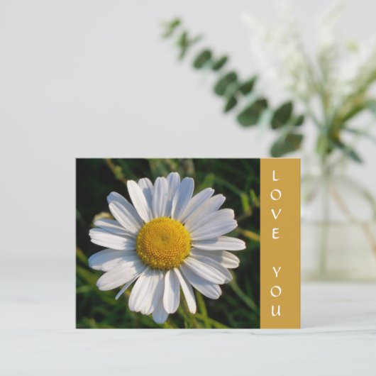 WILDBLUMEN POSTKARTE (Stehend Vorderseite)