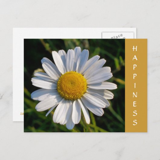 WILDBLUMEN POSTKARTE (Vorne/Hinten)