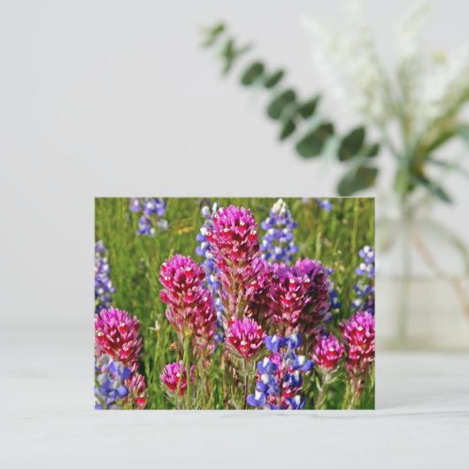 Wildblumen Postkarte (Stehend Vorderseite)