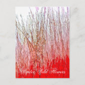 WILDBLUMEN POSTKARTE (Vorderseite)