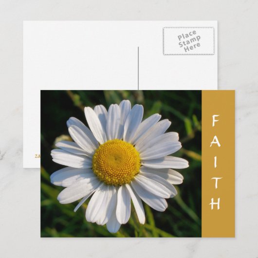 WILDBLUMEN POSTKARTE (Vorne/Hinten)