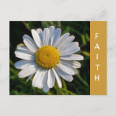 WILDBLUMEN POSTKARTE (Vorderseite)