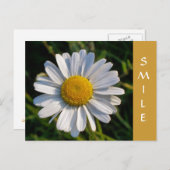 WILDBLUMEN POSTKARTE (Vorne/Hinten)