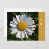 WILDBLUMEN POSTKARTE (Vorne/Hinten)