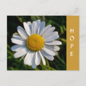 WILDBLUMEN POSTKARTE (Vorderseite)