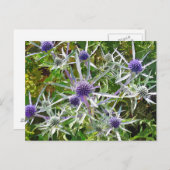 WILDBLUMEN POSTKARTE (Vorne/Hinten)