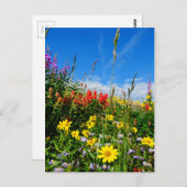 Wildblumen Postkarte (Vorne/Hinten)