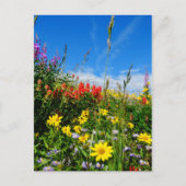 Wildblumen Postkarte (Vorderseite)