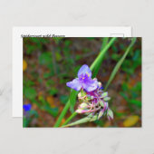 Wildblumen Postkarte (Vorne/Hinten)