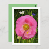 Wildblumen Postkarte (Vorne/Hinten)