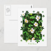 WILDBLUMEN POSTKARTE (Vorne/Hinten)