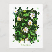 WILDBLUMEN POSTKARTE (Vorderseite)