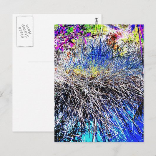 WILDBLUMEN POSTKARTE (Vorne/Hinten)