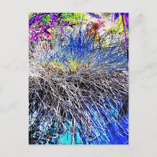 WILDBLUMEN POSTKARTE (Vorderseite)