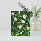 WILDBLUMEN POSTKARTE (Stehend Vorderseite)