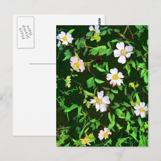 WILDBLUMEN POSTKARTE (Vorne/Hinten)