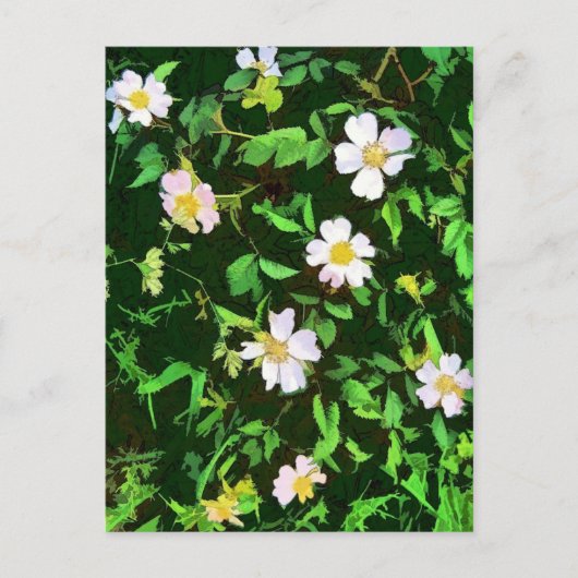 WILDBLUMEN POSTKARTE (Vorderseite)