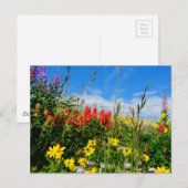 Wildblumen Postkarte (Vorne/Hinten)