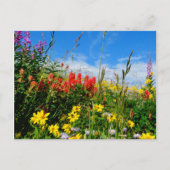 Wildblumen Postkarte (Vorderseite)