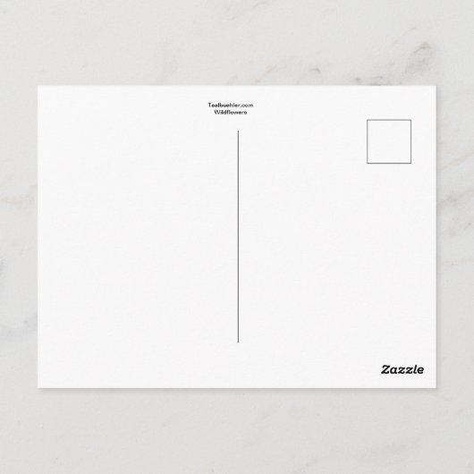 Wildblumen Postkarte (Rückseite)