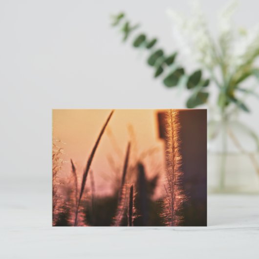 Wildblumen - Postkarten (Stehend Vorderseite)