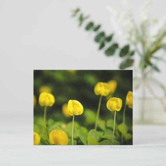 Wildblumen Postkarten (Stehend Vorderseite)