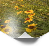 Wildblumen Prairie am Windy Creek Fotodruck (Ecke)