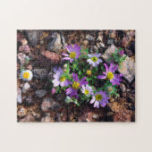 Wildblumen Puzzle (Horizontal)