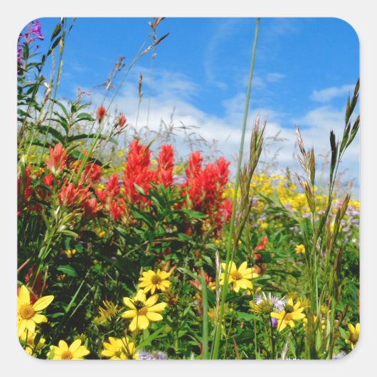 Wildblumen Quadratischer Aufkleber (Vorderseite)