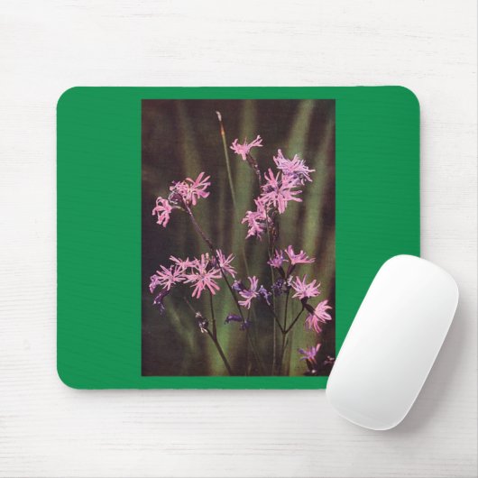 Wildblumen: Raged Robin Mousepad (Mit Mouse)