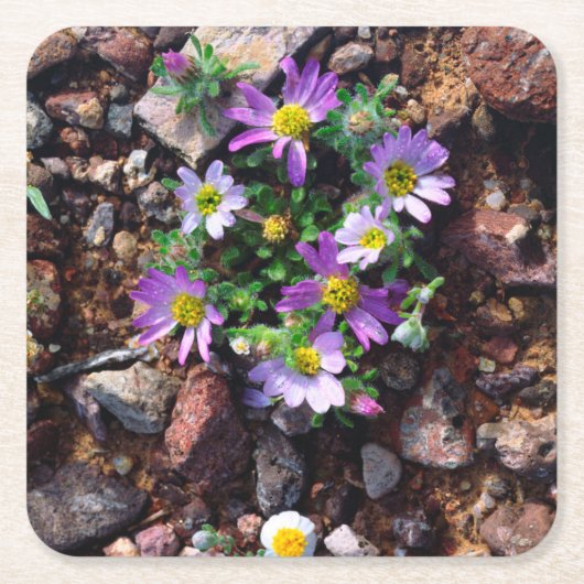 Wildblumen Rechteckiger Pappuntersetzer (Vorderseite)