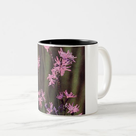 Wildblumen Rosa Blumenrosa Robin Zweifarbige Tasse (VorderseiteRechts)
