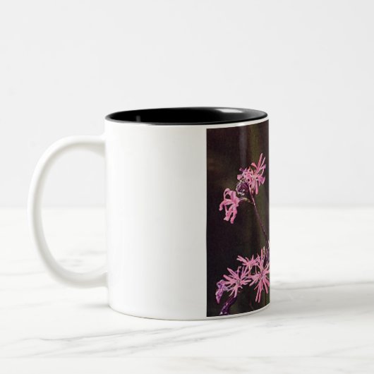 Wildblumen Rosa Blumenrosa Robin Zweifarbige Tasse (Links)