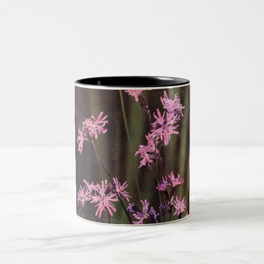 Wildblumen Rosa Blumenrosa Robin Zweifarbige Tasse (Mittel)