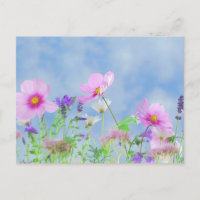 Wildblumen, Schönheit der Natur