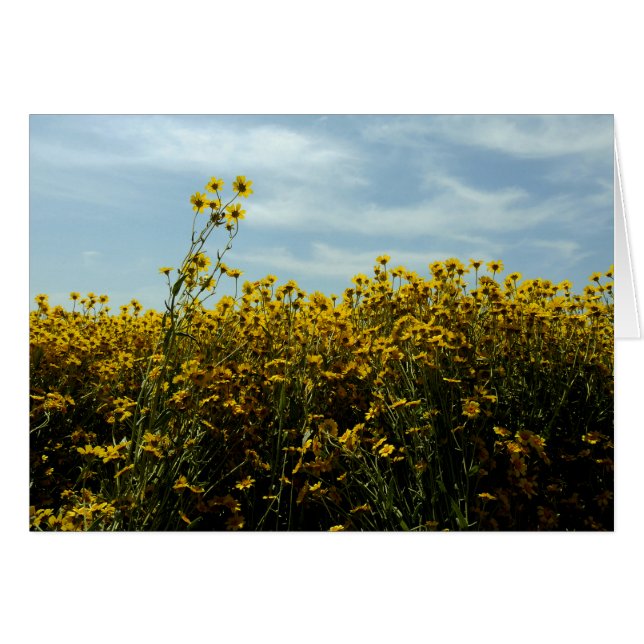 Wildblumen Sonnenblumen (Vorderseite (Horizontal))