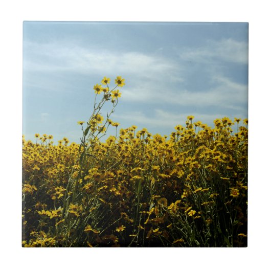 Wildblumen Sonnenblumen Fliese (Vorderseite)