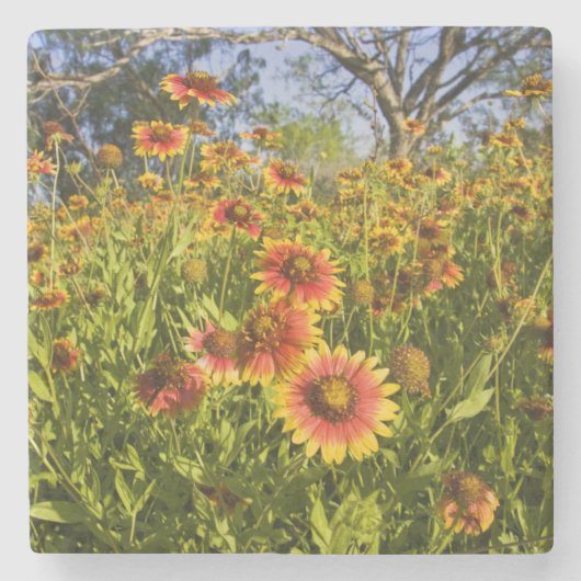 Wildblumen Steinuntersetzer (Vorderseite)