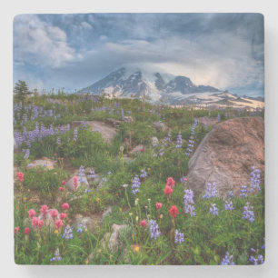 Wildblumen Steinuntersetzer