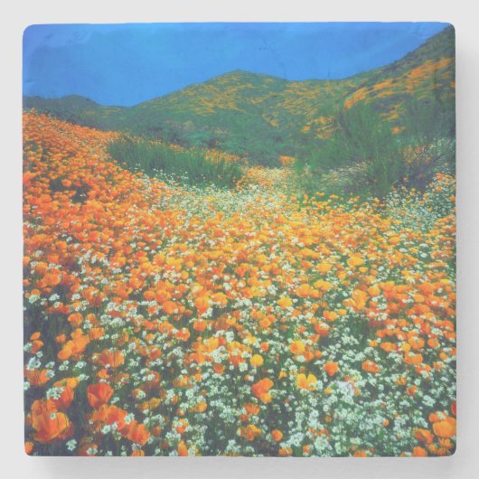 Wildblumen Steinuntersetzer (Vorderseite)