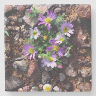 Wildblumen Steinuntersetzer