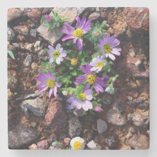 Wildblumen Steinuntersetzer (Vorderseite)