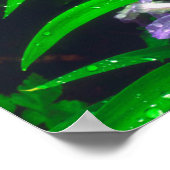 Wildblumen Trillium und Iris Poster (Ecke)