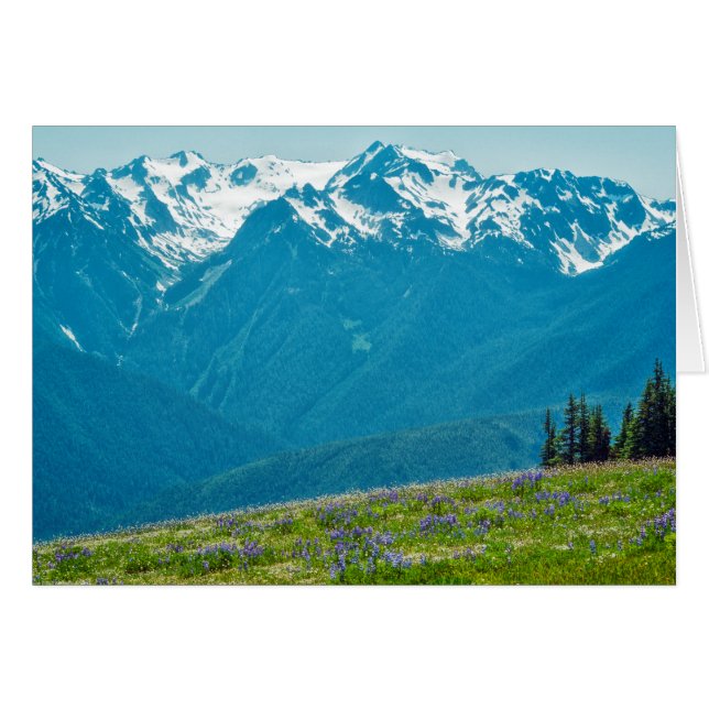 Wildblumen und Berge (Vorderseite (Horizontal))