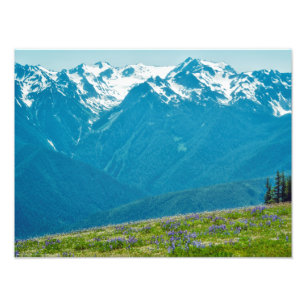 Wildblumen und Berge Fotodruck