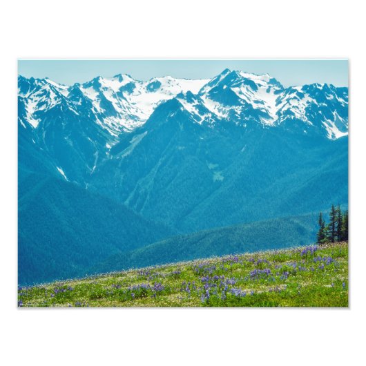 Wildblumen und Berge Fotodruck (Vorne)