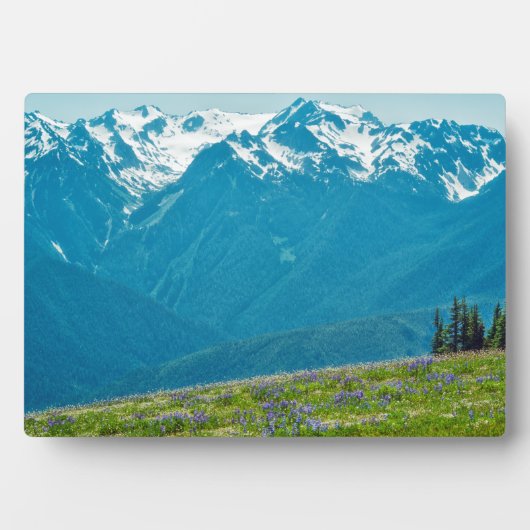 Wildblumen und Berge Fotoplatte (Vorderseite)
