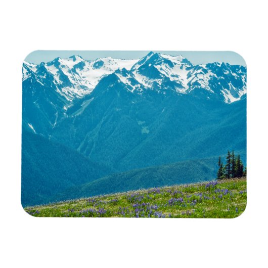 Wildblumen und Berge Magnet (Horizontal)
